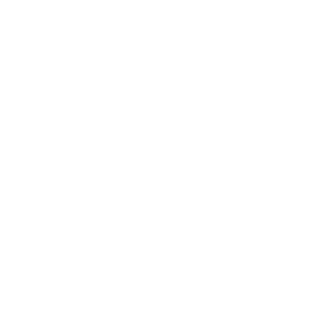 The Power Institute